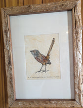 Load image into Gallery viewer, 31 The Endangered Hiltaba Short-tailed Grasswren by Jane Evans