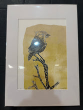 Load image into Gallery viewer, 69 Slender-billed Thornbill, Witchelina Series I by Jane Evans

