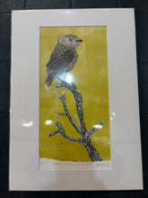 Load image into Gallery viewer, 66 Slender-billed Thornbill, Witchelina Series I by Jane Evans
