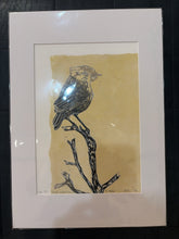 Load image into Gallery viewer, 71 Slender-billed Thornbill, Witchelina Series I by Jane Evans
