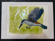 Load image into Gallery viewer, 61 Red-Backed Kingfisher - Tilterana Creek, Witchelina by Jane Evans
