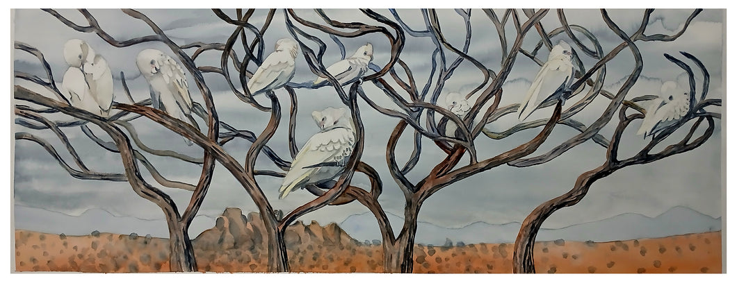17 Little Corellas by Catherine Bourn
