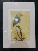 Load image into Gallery viewer, 70 Slender-billed Thornbill, Witchelina Series I by Jane Evans
