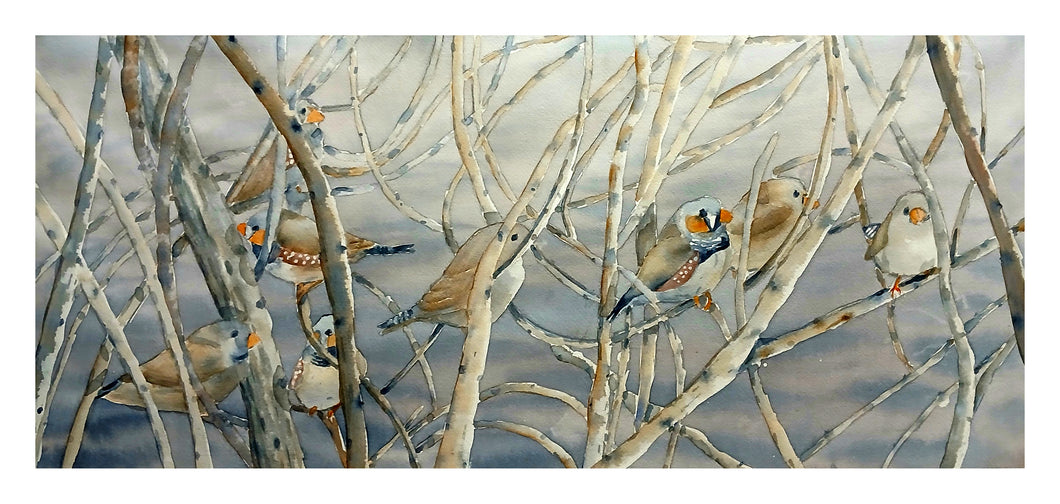 26 Finches by Catherine Bourn