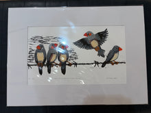 Load image into Gallery viewer, 63 Zebra Finches at Witchelina by Jane Evans

