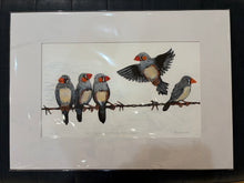 Load image into Gallery viewer, 65 Zebra Finches at Witchelina by Jane Evans
