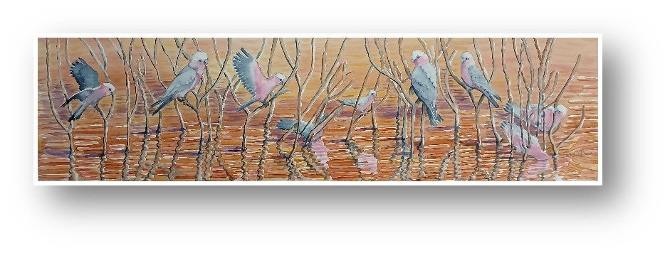 03 Galahs by Catherine Bourn