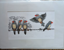 Load image into Gallery viewer, 63 Zebra Finches at Witchelina by Jane Evans
