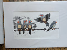 Load image into Gallery viewer, 64 Zebra Finches at Witchelina by Jane Evans
