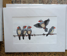 Load image into Gallery viewer, 65 Zebra Finches at Witchelina by Jane Evans
