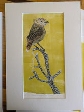 Load image into Gallery viewer, 66 Slender-billed Thornbill, Witchelina Series I by Jane Evans
