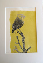 Load image into Gallery viewer, 68 Slender-billed Thornbill, Witchelina Series I by Jane Evans
