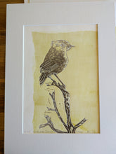 Load image into Gallery viewer, 70 Slender-billed Thornbill, Witchelina Series I by Jane Evans
