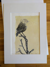 Load image into Gallery viewer, 71 Slender-billed Thornbill, Witchelina Series I by Jane Evans
