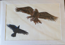 Load image into Gallery viewer, 75 The Chaos of the Sky: The Heckler, Witchelina by Jane Evans
