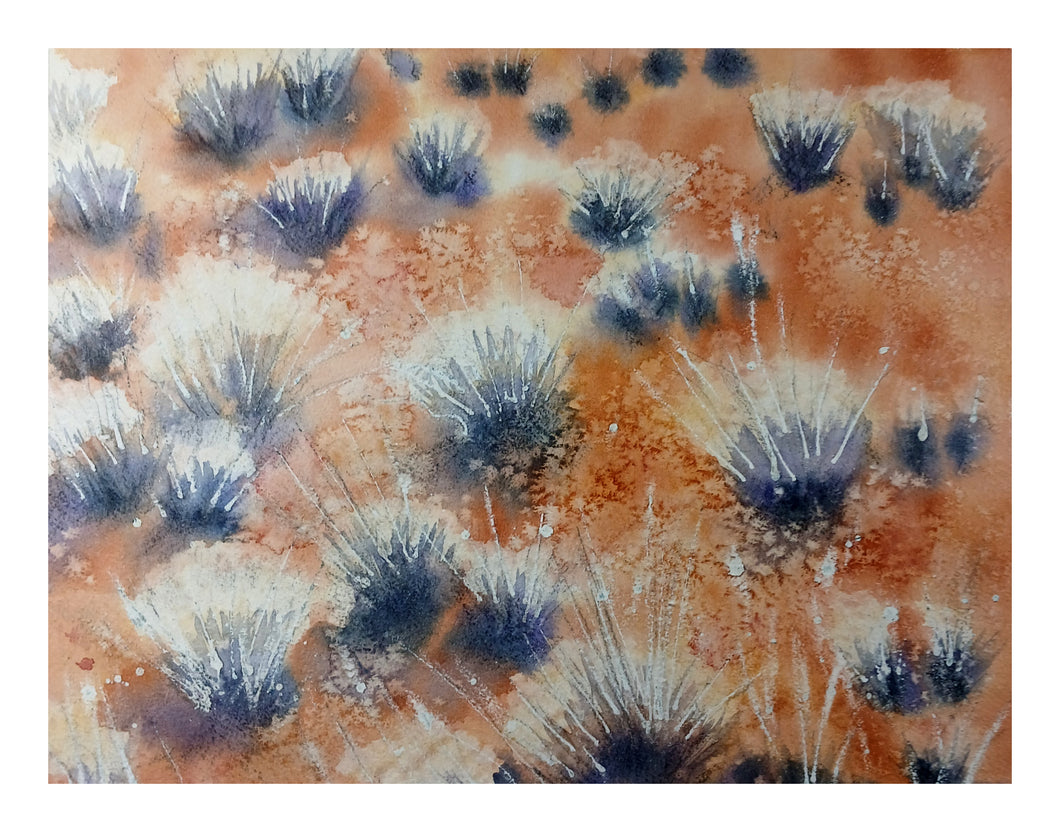 31 Spinifex by Catherine Bourn
