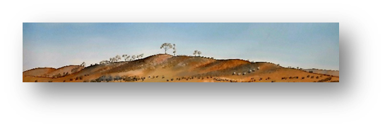 02 Witchelina Landscape by Catherine Bourn